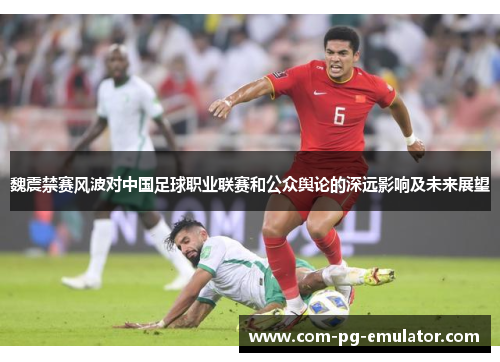 魏震禁赛风波对中国足球职业联赛和公众舆论的深远影响及未来展望