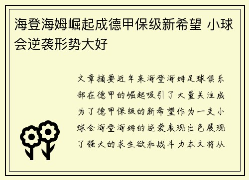 海登海姆崛起成德甲保级新希望 小球会逆袭形势大好